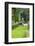 Giardino Bardini, Florence (Firenze), UNESCO World Heritage Site, Tuscany, Italy, Europe-Nico Tondini-Framed Photographic Print