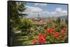 Giardino Delle Rose-Guido Cozzi-Framed Stretched Canvas