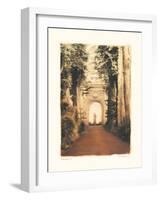 Giardino I-Amy Melious-Framed Art Print