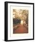 Giardino II-Amy Melious-Framed Art Print