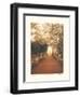 Giardino II-Amy Melious-Framed Art Print