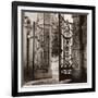 Giardino Lenno-Alan Blaustein-Framed Photographic Print