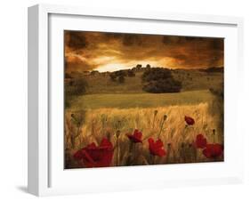 Giardino Sole-Fabio Panichi-Framed Photographic Print