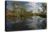 Gibb River at its Crossing by the Kalumburu Road, Off the Gibb River Road, the Kimberley-Tony Waltham-Stretched Canvas