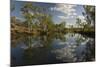 Gibb River at its Crossing by the Kalumburu Road, Off the Gibb River Road, the Kimberley-Tony Waltham-Mounted Photographic Print