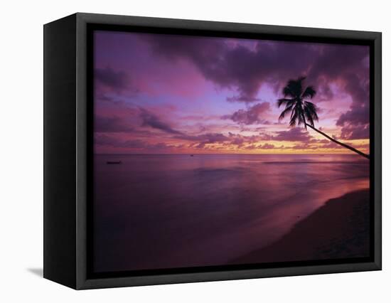 Gibbes Bay at Sunset, Barbados, West Indies, Caribbean, Central America-Gavin Hellier-Framed Stretched Canvas