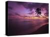 Gibbes Bay at Sunset, Barbados, West Indies, Caribbean, Central America-Gavin Hellier-Stretched Canvas