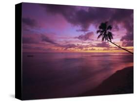 Gibbes Bay at Sunset, Barbados, West Indies, Caribbean, Central America-Gavin Hellier-Stretched Canvas