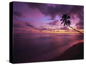 Gibbes Bay at Sunset, Barbados, West Indies, Caribbean, Central America-Gavin Hellier-Stretched Canvas