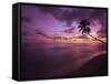 Gibbes Bay at Sunset, Barbados, West Indies, Caribbean, Central America-Gavin Hellier-Framed Stretched Canvas