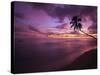 Gibbes Bay at Sunset, Barbados, West Indies, Caribbean, Central America-Gavin Hellier-Stretched Canvas