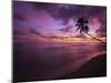 Gibbes Bay at Sunset, Barbados, West Indies, Caribbean, Central America-Gavin Hellier-Mounted Premium Photographic Print