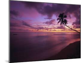 Gibbes Bay at Sunset, Barbados, West Indies, Caribbean, Central America-Gavin Hellier-Mounted Photographic Print