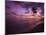 Gibbes Bay at Sunset, Barbados, West Indies, Caribbean, Central America-Gavin Hellier-Mounted Photographic Print