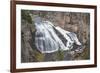 Gibbon Falls at Yellowstone National Park, Wyoming-Richard & Susan Day-Framed Premium Photographic Print