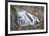 Gibbon Falls at Yellowstone National Park, Wyoming-Richard & Susan Day-Framed Premium Photographic Print
