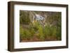 Gibbon Falls, Yellowstone National Park, Wyoming-Adam Jones-Framed Photographic Print