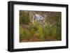 Gibbon Falls, Yellowstone National Park, Wyoming-Adam Jones-Framed Photographic Print