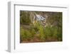 Gibbon Falls, Yellowstone National Park, Wyoming-Adam Jones-Framed Photographic Print