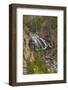 Gibbon Falls, Yellowstone National Park, Wyoming-Adam Jones-Framed Photographic Print