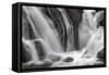 Gibbon Falls, Yellowstone National Park, Wyoming-Adam Jones-Framed Stretched Canvas