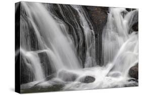 Gibbon Falls, Yellowstone National Park, Wyoming-Adam Jones-Stretched Canvas