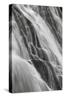 Gibbon Falls, Yellowstone National Park, Wyoming-Adam Jones-Stretched Canvas