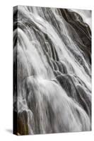 Gibbon Falls, Yellowstone National Park, Wyoming-Adam Jones-Stretched Canvas