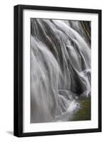 Gibbon Falls, Yellowstone National Park, Wyoming-Adam Jones-Framed Photographic Print