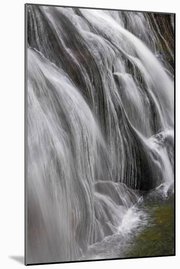 Gibbon Falls, Yellowstone National Park, Wyoming-Adam Jones-Mounted Photographic Print