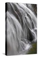 Gibbon Falls, Yellowstone National Park, Wyoming-Adam Jones-Stretched Canvas