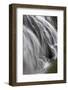 Gibbon Falls, Yellowstone National Park, Wyoming-Adam Jones-Framed Photographic Print