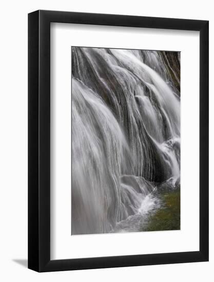 Gibbon Falls, Yellowstone National Park, Wyoming-Adam Jones-Framed Photographic Print