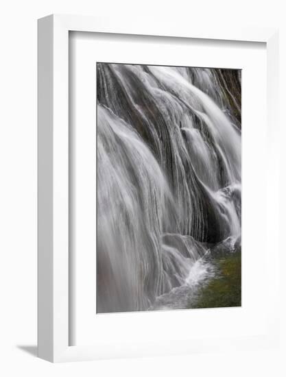 Gibbon Falls, Yellowstone National Park, Wyoming-Adam Jones-Framed Photographic Print