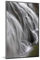 Gibbon Falls, Yellowstone National Park, Wyoming-Adam Jones-Mounted Photographic Print