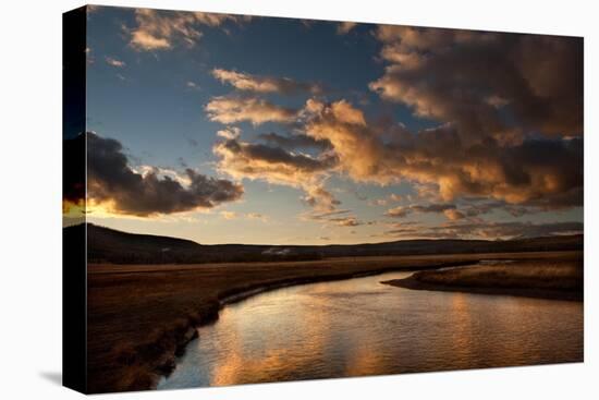 Gibbon River Yellowstone National Park-Steve Gadomski-Stretched Canvas