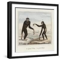 Gibbons-null-Framed Giclee Print