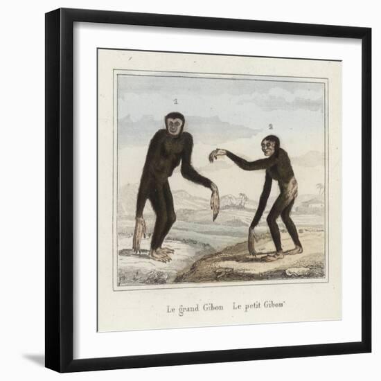 Gibbons-null-Framed Giclee Print