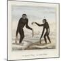 Gibbons-null-Mounted Giclee Print