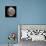 Gibbous Moon-null-Stretched Canvas displayed on a wall