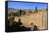 Gibralfaro Castle, Malaga, Andalusia, Spain, Europe-Richard Cummins-Framed Stretched Canvas