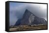 Gibraltar Rock of Gibraltar with Levante-null-Framed Stretched Canvas