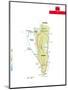 Wood Mount