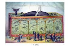 The Aquarium-Gibson & Co-Framed Art Print