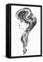 Gibson Girl, 1903-Charles Dana Gibson-Framed Stretched Canvas