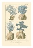 Agave Botanical II-Giclee Studio-Giclee Print