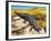 Gidgee Spiny-Tailed Skink or Stoke's Skink (Egernia Stokesii), Scincidae-null-Framed Giclee Print