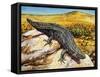 Gidgee Spiny-Tailed Skink or Stoke's Skink (Egernia Stokesii), Scincidae-null-Framed Stretched Canvas