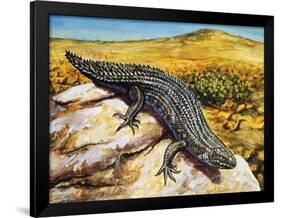 Gidgee Spiny-Tailed Skink or Stoke's Skink (Egernia Stokesii), Scincidae-null-Framed Giclee Print