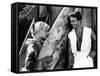 Gidget, Sandra Dee, Cliff Robertson, 1959-null-Framed Stretched Canvas